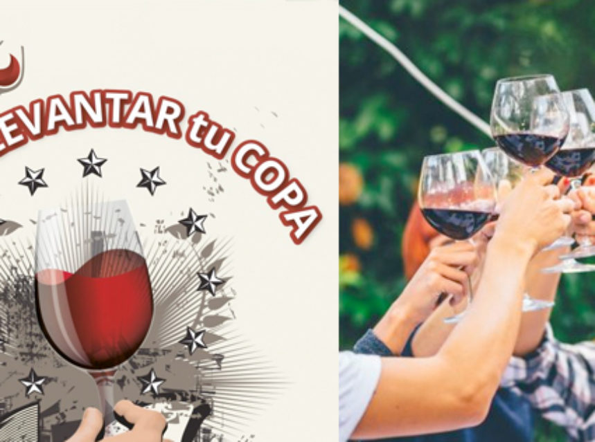 24 denominaciones brindaron por el Día Movimiento Vino DO 24 denominaciones brindaron por el Día Movimiento Vino DO