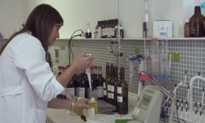 CENTROLAB: diez años al servicio de los enólogos CENTROLAB: diez años al servicio de los enólogos