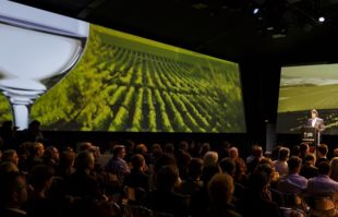 Copa Jerez Competition & Forum img