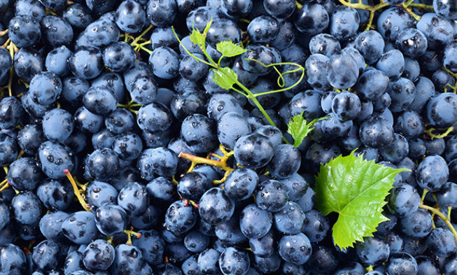 Producción históricamente baja