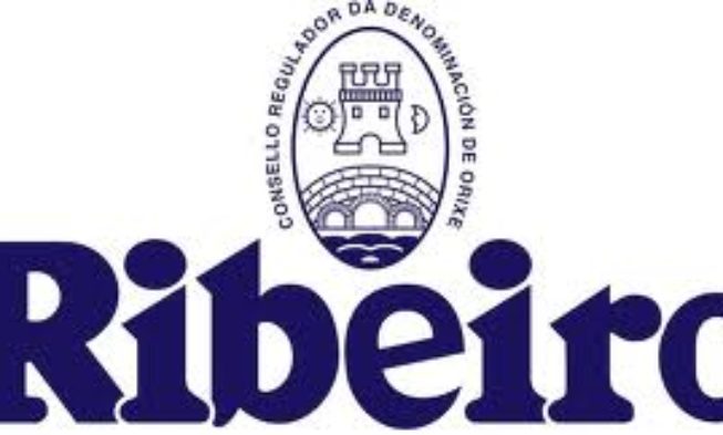 Medio centenar de viticultores de O Ribeiro se encierran en la delegación de Medio Rural en Ourense 20 BODEGAS DE RIBEIRO ASISTEN AL CURSO DE FORMACIÓN SOBRE IMPUESTOS ESPECIALES SOBRE EL VINO