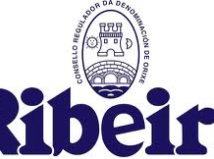 20 BODEGAS DE RIBEIRO ASISTEN AL CURSO DE FORMACIÓN SOBRE IMPUESTOS ESPECIALES SOBRE EL VINO 20 BODEGAS DE RIBEIRO ASISTEN AL CURSO DE FORMACIÓN SOBRE IMPUESTOS ESPECIALES SOBRE EL VINO