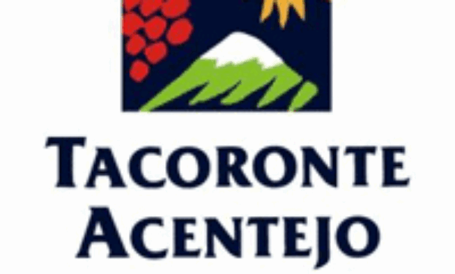 Tacoronte Acentejo obtiene la mejor cosecha de uva desde 2006