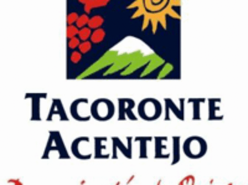 Tacoronte Acentejo obtiene la mejor cosecha de uva desde 2006 Tacoronte Acentejo obtiene la mejor cosecha de uva desde 2006