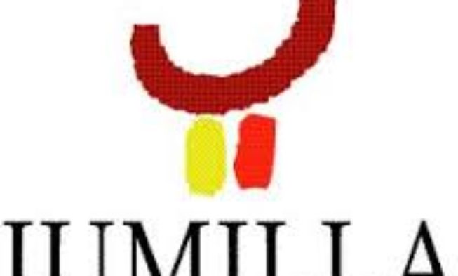 Los vinos con DOP Jumilla incrementan sus ventas un 14% en 2013