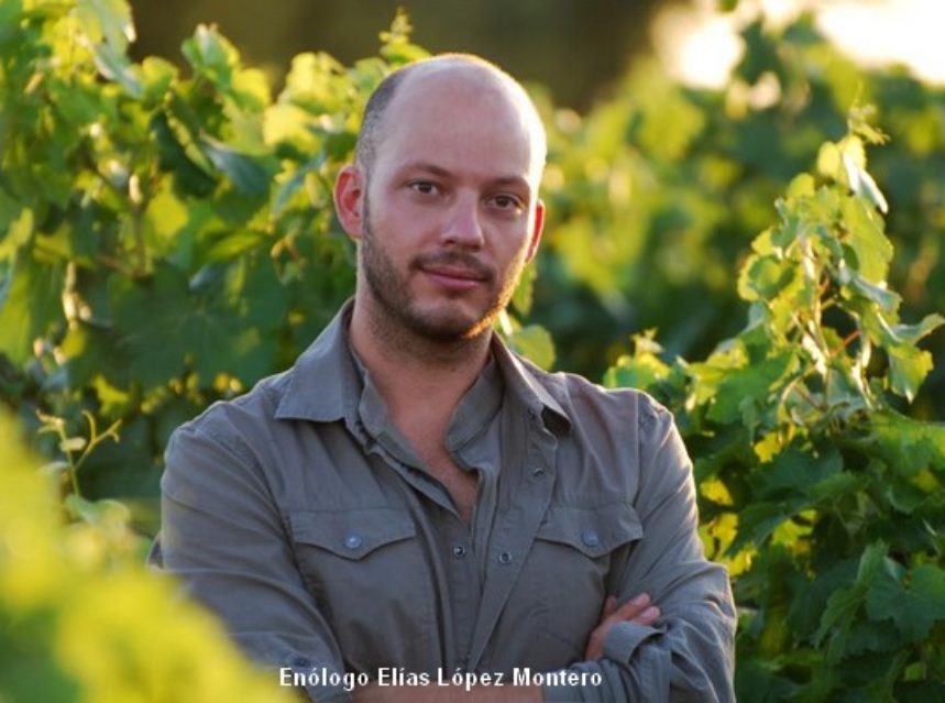 Los vinos y destilados de Bodegas Verum abren el 2014 con altas puntuaciones y reconocimientos