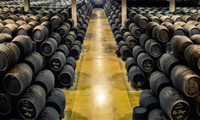 Fiesta de la Vendimia en Jerez, cita de Interés Turístico Internacional Fiesta de la Vendimia en Jerez