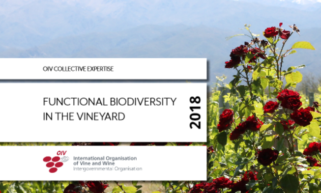 La biodiversidad funcional en el viñedo