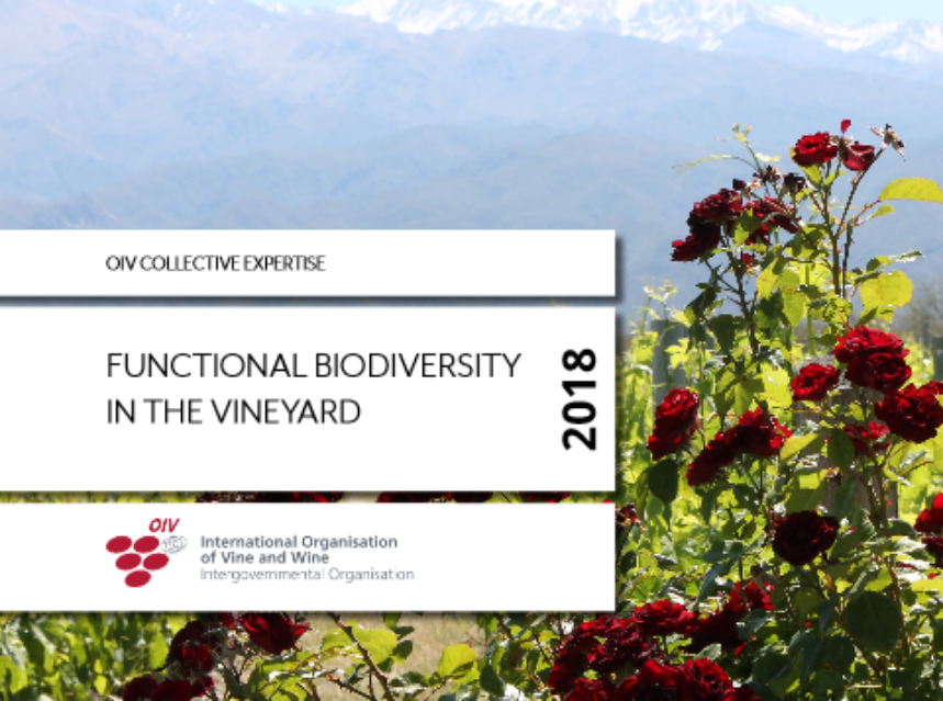 La biodiversidad funcional en el viñedo La biodiversidad funcional en el viñedo