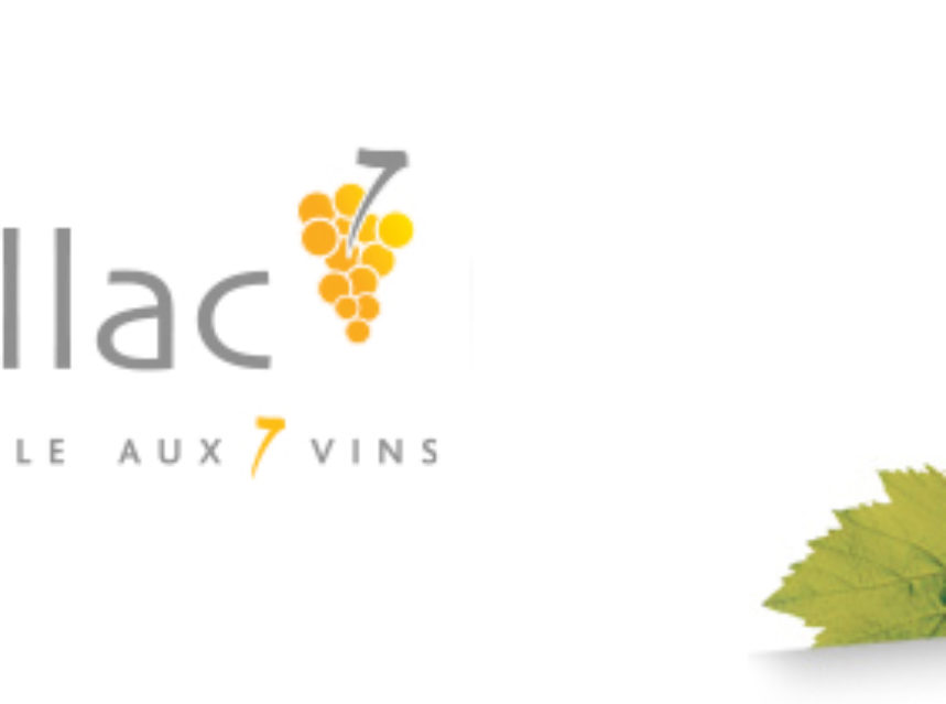 El vino de la cepa mauzac se hace efervescente en Francia El vino de la cepa mauzac se hace efervescente en Francia