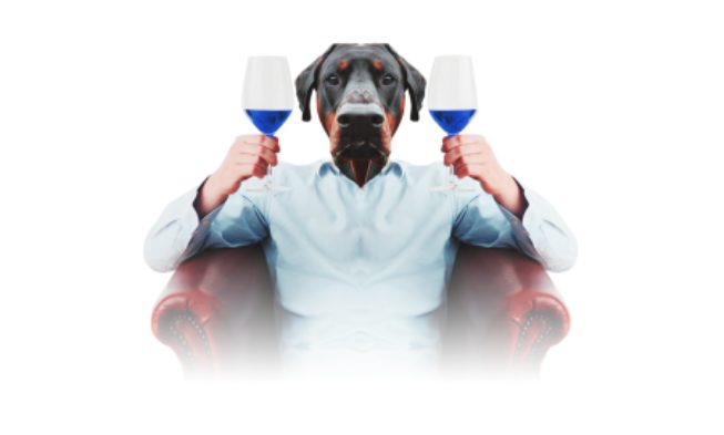 Un vino azul para desaprender sobre vino