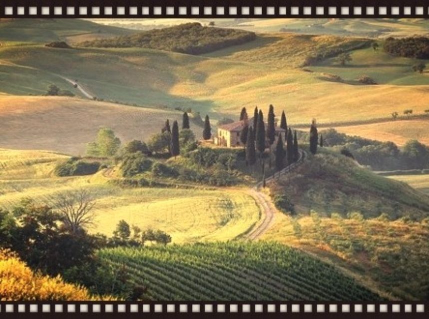 Italia: 8 años ganando más por exportación de vino Italia: 8 años ganando más por exportación de vino
