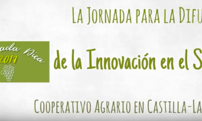 400 representantes de cooperativas agrarias de CLM estarán presentes en la 2º Jornada DICA 400 representantes de cooperativas agrarias de CLM estarán presentes en la 2º Jornada DICA