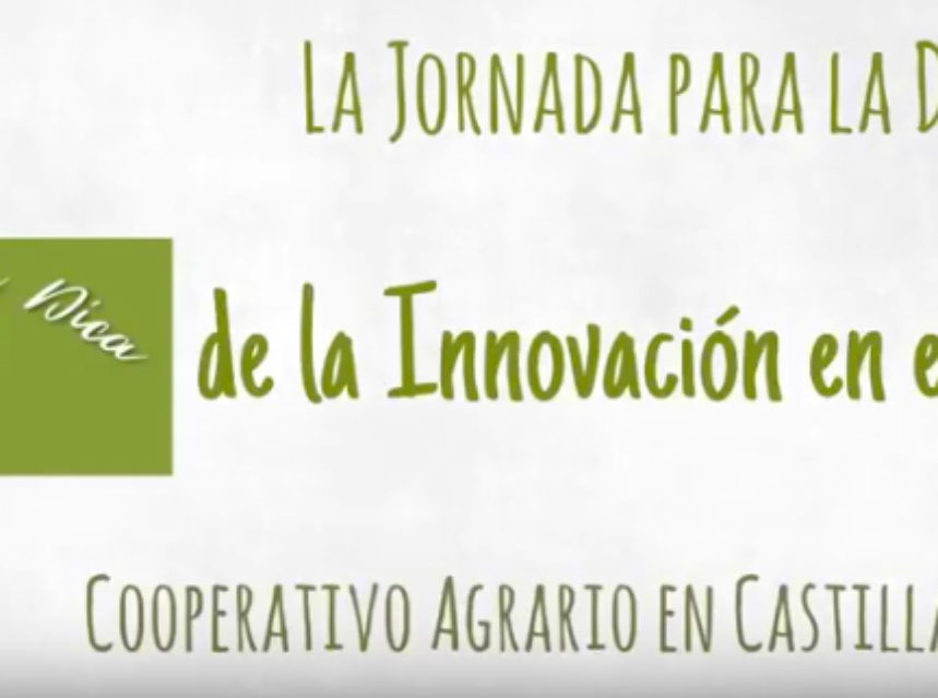 400 representantes de cooperativas agrarias de CLM estarán presentes en la 2º Jornada DICA 400 representantes de cooperativas agrarias de CLM estarán presentes en la 2º Jornada DICA