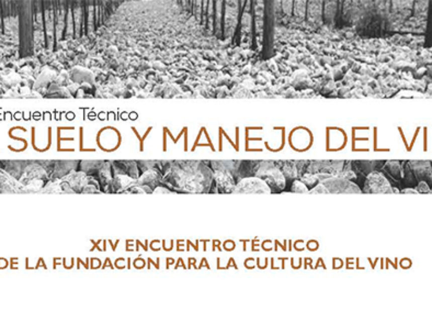 XIII Encuentro Técnico: El suelo y manejo del viñedo XIII Encuentro Técnico: El suelo y manejo del viñedo