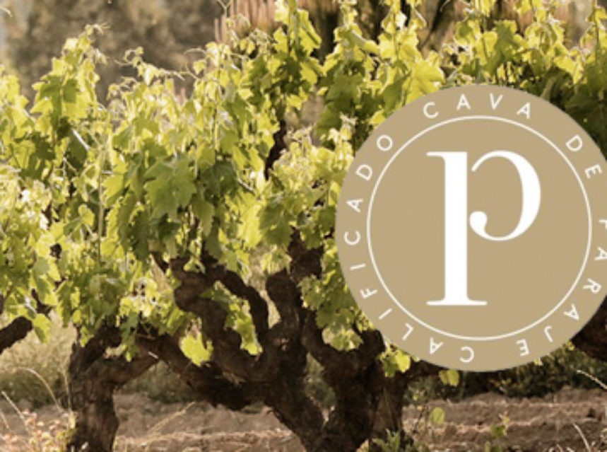 12 parajes autorizados con la categoría Cava de Paraje Calificado 12 parajes autorizados con la categoría Cava de Paraje Calificado