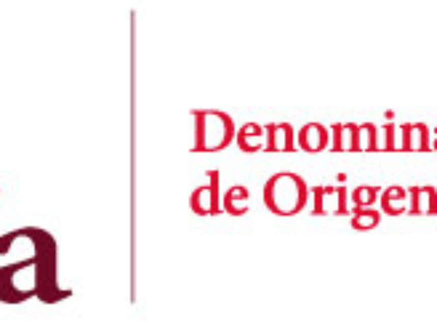 COSECHA 2013 / CONTROL MADURACIÓN Nº 4: LA MADURACIÓN DE LA UVA EVOLUCIONA FAVORABLEMENTE GRACIAS A LA BUENA CLIMATOLOGÍA