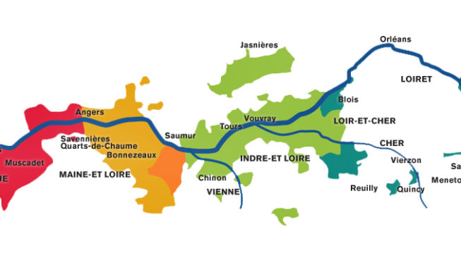 Los vinos del Loira se consolidan en Francia como apuesta segura