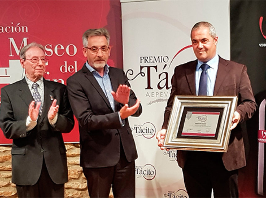 Premios AEPEV