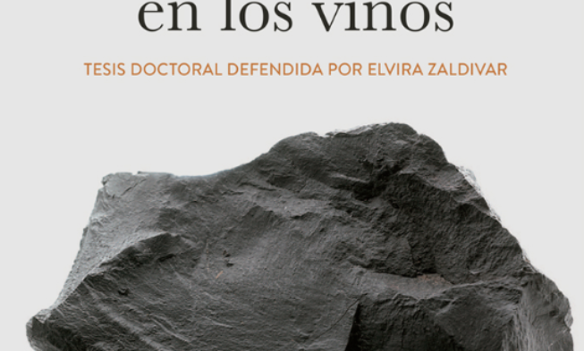 La base científica de la mineralidad en los vinos