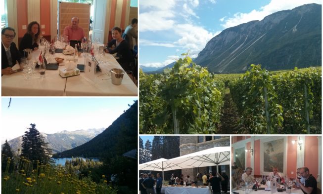 17ª edición del concurso Mondial des Pinots