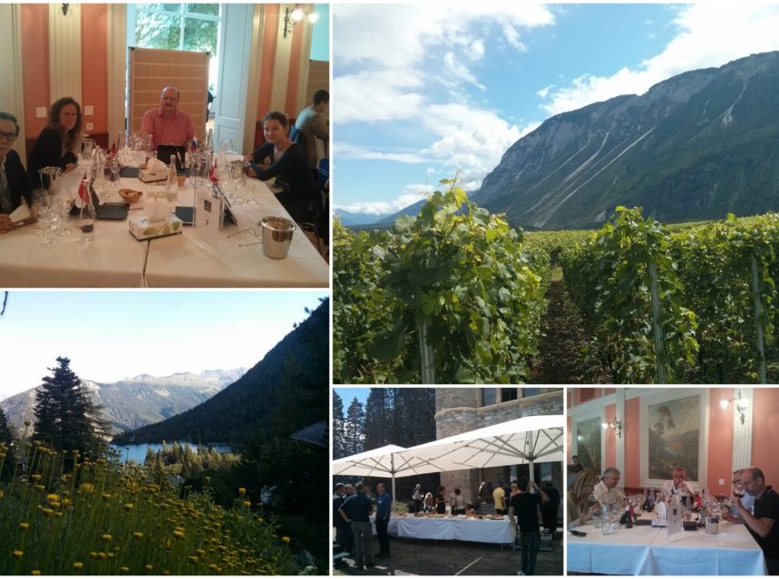 17ª edición del concurso Mondial des Pinots