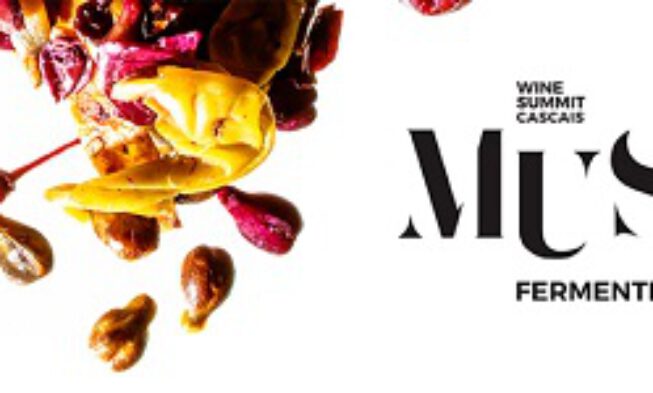 Must – Fermenting Ideas 2018