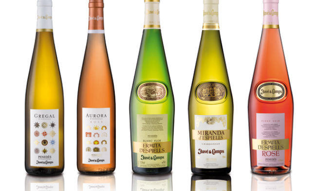 Primera línea de vino ecológico de Juvé & Camps