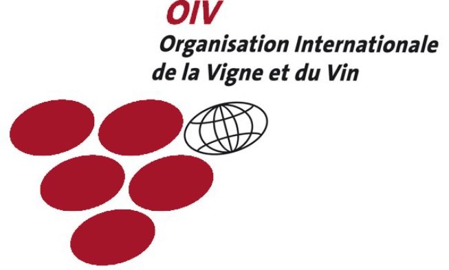 La OIV prevé una estabilización del consumo del vino en 245 millones de hectolitros anuales