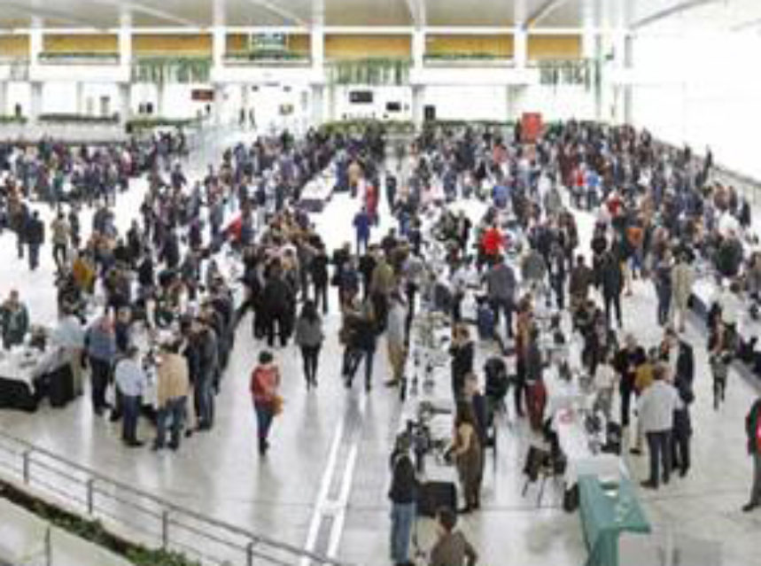 El XVII Salón Guía Peñín De Los Mejores Vinos