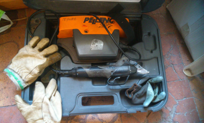 El ciclo anual de un viñedo. Capítulo 3. La poda (b)