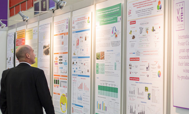 La WBWE premia una investigación sobre la aplicación de extracto de pepita de uva para mejorar la salud bucodental La WBWE premia una investigación sobre la aplicación de extracto de pepita de uva para mejorar la salud bucodental