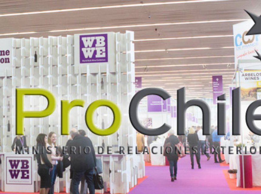 La World Bulk Wine otorga a Chile el prestigioso Premio Voice of Wine