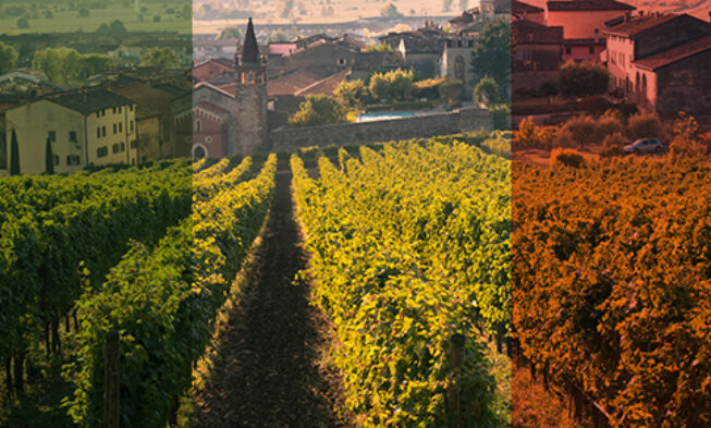 Italia se perfila como el gran competidor de la próxima campaña Italia se perfila como el gran competidor de la próxima campaña