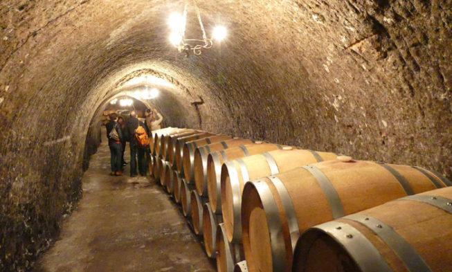 La Ruta del Vino Ribera del Duero, el plan enoturístico más elegido La Ruta del Vino Ribera del Duero