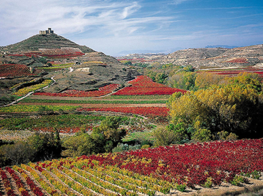 Rioja implanta un stock cualitativo en la vendimia 2018