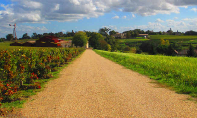 Agricultura recoge tres nuevas rutas del vino: Rioja Alta