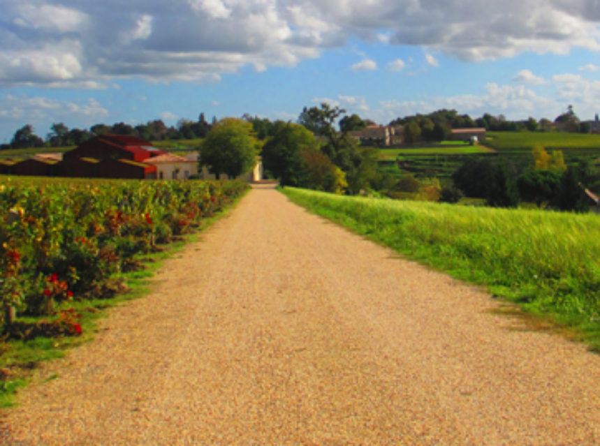 Agricultura recoge tres nuevas rutas del vino: Rioja Alta