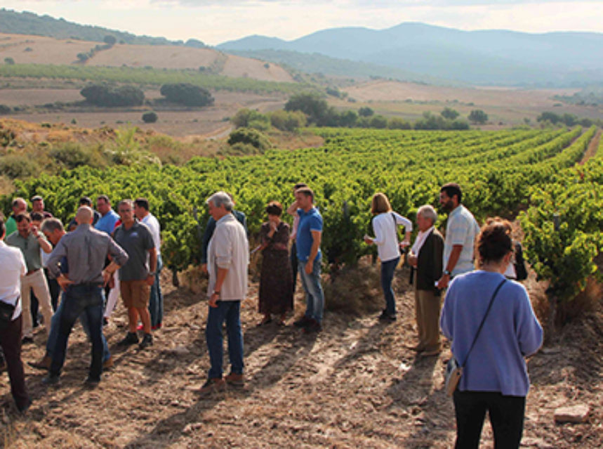 Smart Sustainable Wine Navarra: sostenibilidad en el viñedo frente al cambio climático