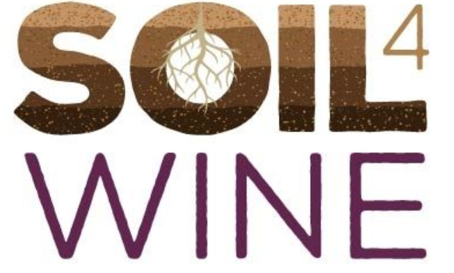 SOIL4WINE. Mejorar la gestión del suelo vitivinícola