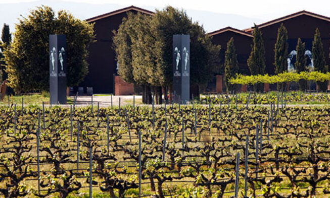 El Grupo Terras Gauda adquiere una bodega en La Rioja