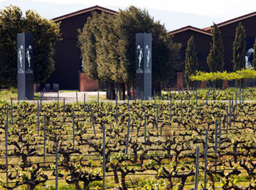 El Grupo Terras Gauda adquiere una bodega en La Rioja