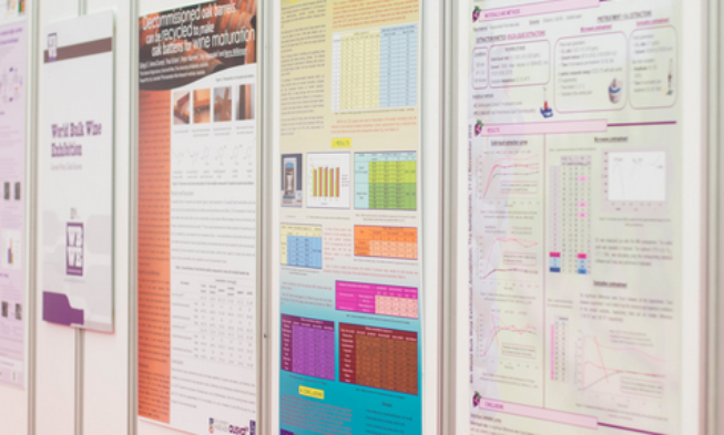 The Vine Science Award busca las mejores investigaciones relacionadas con los subproductos y residuos de la vid y el vino The Vine Science Award busca las mejores investigaciones relacionadas con los subproductos y residuos de la vid y el vino