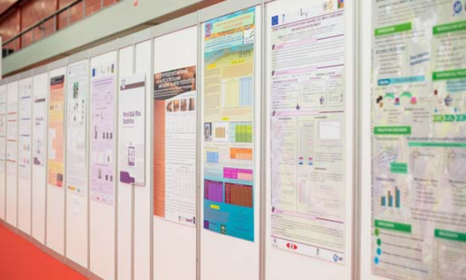 Investigación, sostenibilidad y futuro del sector del vino en The Vine Investigación