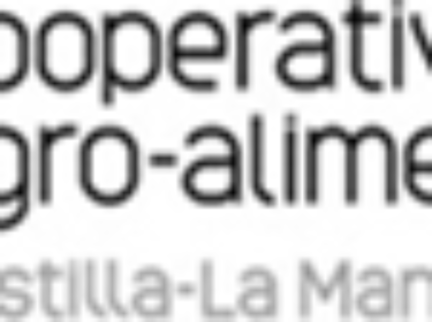 Cooperativas  Agro-alimentarias C-LM asegura que las bodegas recepcionarán toda la producción de sus socios viticultores