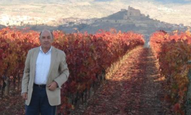 Vicente Sotés, nuevo vicepresidente de la OIV Vicente Sotés