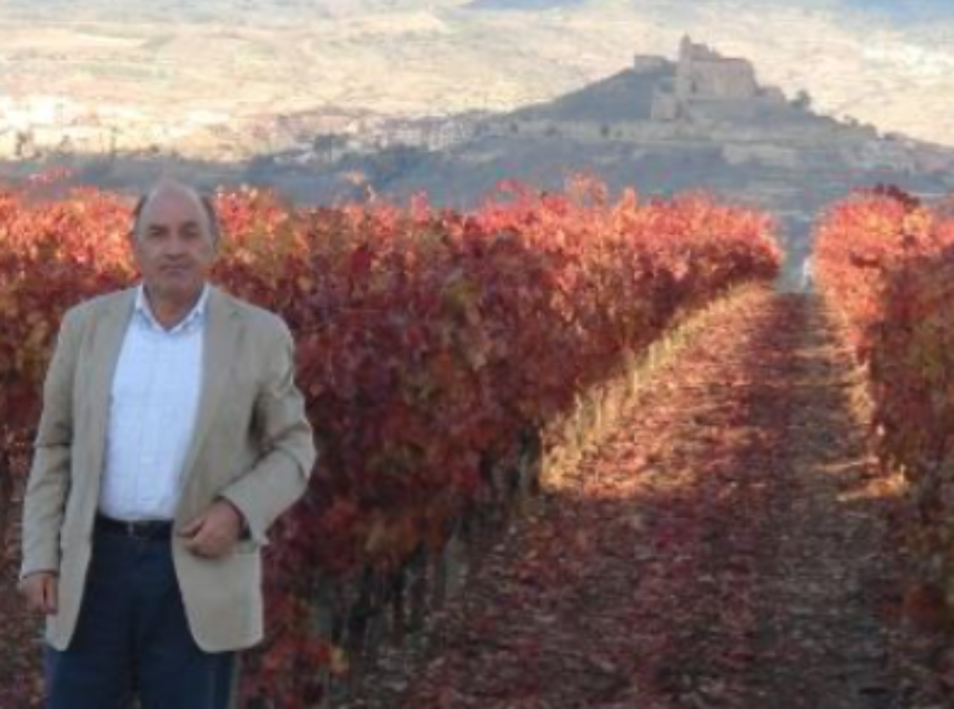 Vicente Sotés, nuevo vicepresidente de la OIV Vicente Sotés