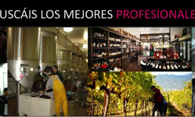 VinoEmpleo lanza una oferta para la vendimia