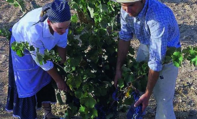 Los vinos de Murcia reivindican en EE.UU. la calidad de la uva Monastrell