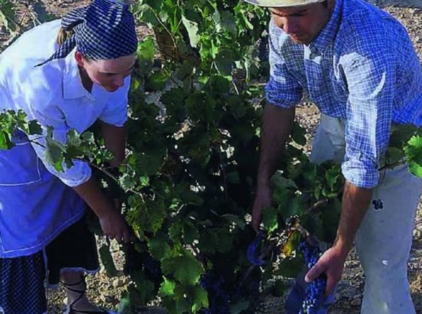 Los vinos de Murcia reivindican en EE.UU. la calidad de la uva Monastrell